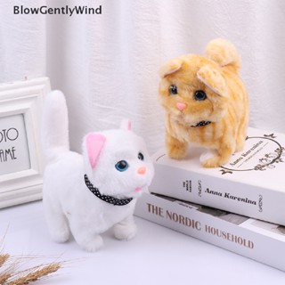 Blowgentlywind ตุ๊กตาหุ่นยนต์ไฟฟ้าจําลอง แบบนิ่ม ของเล่นสําหรับสัตว์เลี้ยง แมว