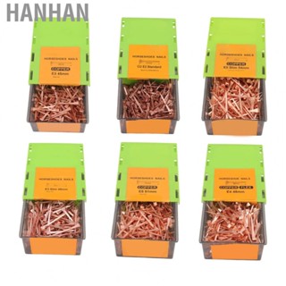 Hanhan Horseshoe Nails  Shoeing Nails High Strength 250Pcs Straight with Plastic Case for Livestock Farm