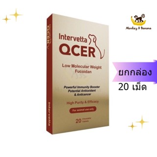 EXP10/2024 Qcer ยกกล่องอาหารเสริมต่อต้านมะเร็ง เสริมภูมิคุ้มกัน สุนัขแมวกระต่าย