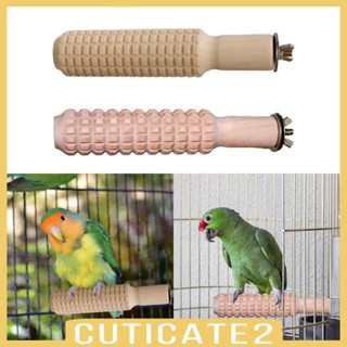 [Cuticate2] ของเล่นนกแก้ว กิ่งไม้ ขนาดเล็ก สําหรับนกแก้ว