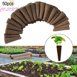 【COLORFUL】Grow Sponges 50PCS Growth Sponges Seed Grow Sponges Hydroponic Grow Sponges