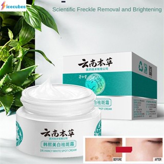 2023 จีนของแท้ Melasma Whitening Cream Whitening Freckle Cream Skin Care Facial Moisturizing Whitening Cream ICECUBES