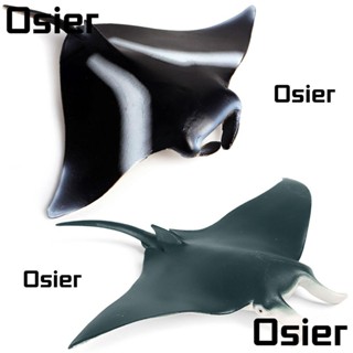 Osier1 โมเดล Manta Ray ของเล่นเสริมการเรียนรู้ สําหรับเด็ก