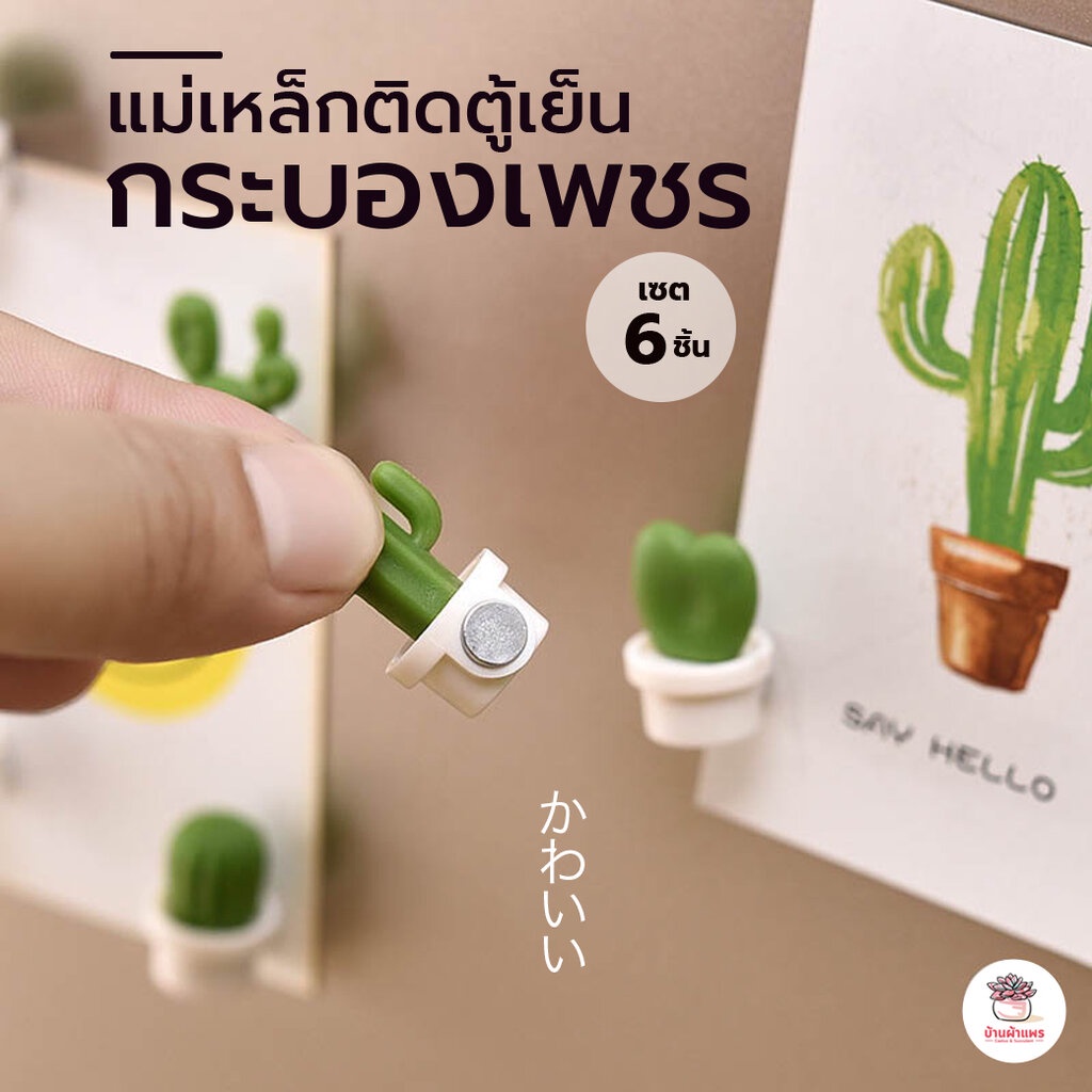 ( เซต 6 ชิ้น ) กระบองเพชรติดตู้เย็น แม่เหล็กกระบองเพชร แคคตัส กระบองเพชร ไม้อวบน้ำ cactus&succulent