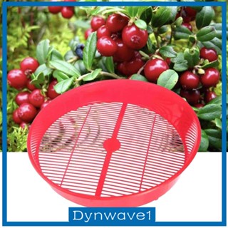 [Dynwave1] ตะกร้าทําความสะอาดเบอร์รี่ อเนกประสงค์ สําหรับ Currants Blueberries Lingonberries