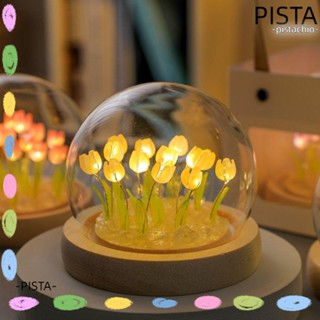 Pista โคมไฟตั้งโต๊ะ รูปดอกทิวลิป เรืองแสง สาย USB DIY