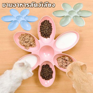 พร้อมส่ง ชามแมว ชามหมา ชามอาหารสัตว์เลี้ยง 6 หลุม