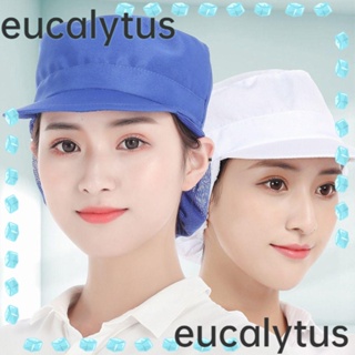 Eucalytus1 หมวกทํางาน กันฝุ่น ระบายอากาศ สุขอนามัย สําหรับทําอาหาร โรงแรม