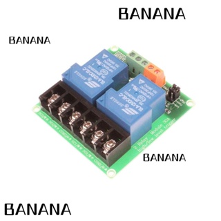 Banana1 โมดูลรีเลย์ DC 12V 30A 2 ช่อง ทริกเกอร์ระดับ 2 ช่องทาง สําหรับบ้าน