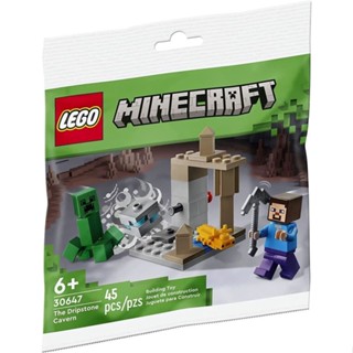 Lego ชุดของเล่นตัวต่อเลโก้ Minecraft The Dripstone Cavern Polybag 30647