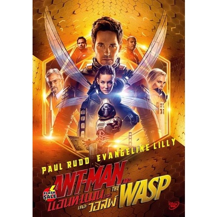 DVD ดีวีดี Ant-Man and the Wasp แอนท์-แมน และ เดอะ วอสพ์ (เสียง ไทย/อังกฤษ ซับ ไทย/อังกฤษ) DVD ดีวีดี