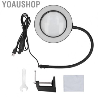 Yoaushop Magnifying Lamp  Light Arm 5X Glass Lens Desk Lamp For Welding Reading