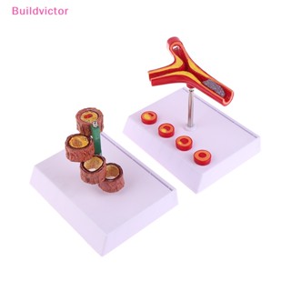 Buildvictor รูปปั้นมนุษย์ 50 เท่า สําหรับห้องแล็บ