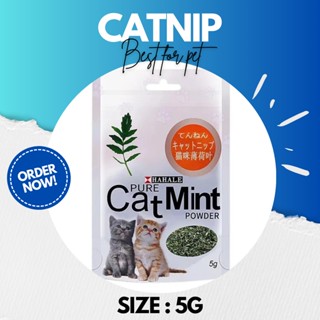 ⭐สินค้าพร้อมส่ง⭐ กัญชาแมว แคทนิป Catnip แคทมิ้น Catmint แบบผง 5g •Cat House•