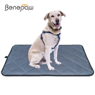 Benepaw แผ่นรองนอน กันลื่น กันน้ํา ซักทําความสะอาดได้ สําหรับสัตว์เลี้ยง สุนัข ขนาดเล็ก กลาง ใหญ่