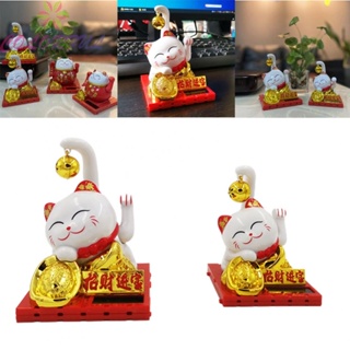 【COLORFUL】Richcat Ornaments Not Easy To Age Plastic Reliable Brand New Decorative