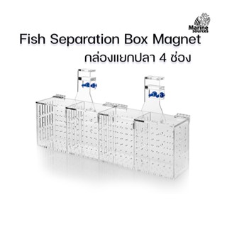 Marine Source กล่องแยกปลา 4 ช่อง Fish Separation Box กล่องพักปลา กล่องอนุบาลปลา ปลาป่วย ปลาท้อง FSB-4A