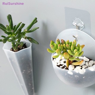 Ruisurshine กระถางต้นไม้พลาสติก รูปใบหน้าน่ารัก 1 ชิ้น