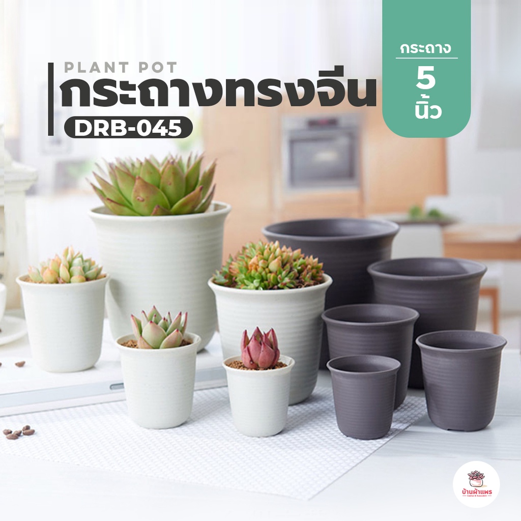 [ DRB-045 ] กระถางทรงจีน 5 นิ้ว กระถางพลาสติก แคคตัส กระบองเพชร ไม้อวบน้ำ Cactus&Succulent