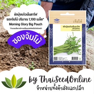 เมล็ดพันธุ์ ผักบุ้งเย็นตาโฟ ผักบุ้งแก้ว ซองจัมโบ้ 1100 เมล็ด เพิ่มปริมาณมากกว่า 3 เท่า！ ตราเจียไต๋