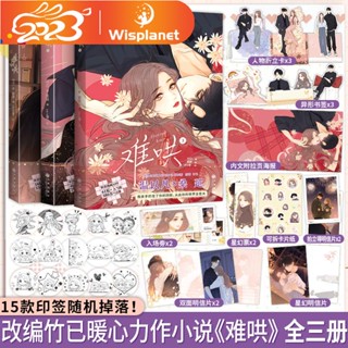 หนังสือการ์ตูน Eternal Love (Nan Hong) Origianl Manhua Whole 3 Volumes Zhu Yis Works Manga Youth Urban Romance BG สไตล์จีน 2023