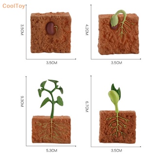 Cooltoy โมเดลวงจรชีวิตถั่วเขียวจําลอง ของเล่นเสริมการเรียนรู้เด็ก