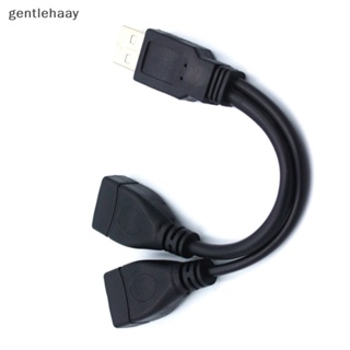 Gent สายเคเบิลแยก USB 2.0 ตัว Y 1 ตัวผู้ เป็น 2 ตัวเมีย สําหรับ PC รถ ส่งข้อมูล สายชาร์จ EN