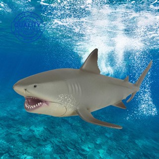 ฟิกเกอร์สัตว์ทะเลจําลอง Megalodon ขนาดใหญ่ K9S6