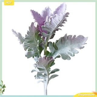 Shopeestore|  Senecio Cineraria พืชปลอม พร็อพถ่ายรูป DIY สําหรับตกแต่งบ้าน ออฟฟิศ 1 ชิ้น