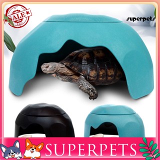 Superpets รังพลาสติก ระบายอากาศ กันตก ขอบเรียบ ทนทาน สําหรับสัตว์เลี้ยง สัตว์เลื้อยคลาน แมงป่อง 1 ชุด