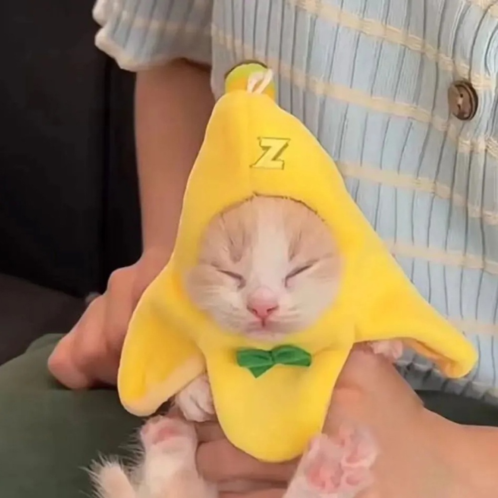 Tiktok ตุ๊กตากล้วย แมว ขนาดเล็ก พร็อพถ่ายรูปน่ารัก สําหรับสัตว์เลี้ยง สุนัข แมว