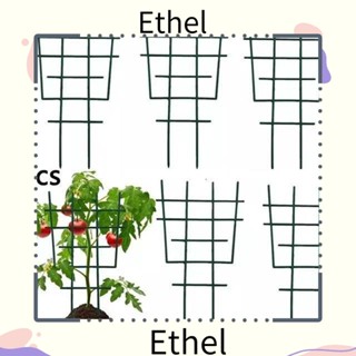 Ethel1 โครงไม้เลื้อย สีเขียว สําหรับปีนเขา 5 ชิ้น