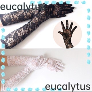 Eucalytus1 ถุงมือยาว บางพิเศษ พิมพ์ลายดอกกุหลาบ ลูกไม้ ตาข่าย เซ็กซี่ สีดํา สําหรับขับรถ ฮาโลวีน