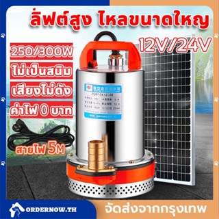 COD สแตนเลส ปั๊มจุ่ม 1นิ้ว12/24V 300W ไดโว่ เจ้าพระยา แรงดันสู แบตเตอรี่ มอเตอร์ทองแดงแท้ 100%(ไดร์โว่ดูดน้ำ 12v ปั๊มน้ำ