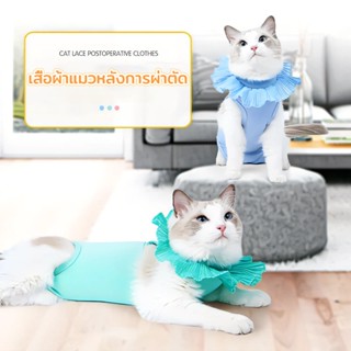 🐱สัตว์เลี้ยงทำหมัน เสื้อทำหมัน ชุดทำหมัน ชุดหลังผ่าตัด เสื้อกันเลีย ผ้าตาข่าย ผ้าตานก ป้องกันไม่ให้หลุด