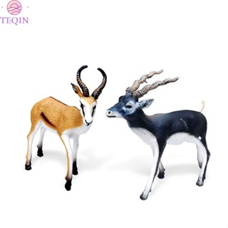 Teqin โมเดลฟิกเกอร์สัตว์ป่าจําลอง สมจริง Antelope Springbok สําหรับตกแต่ง 2 ชิ้น