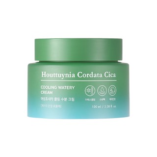 TONYMOLY Houttuynia Cordata Cica Cooling Watery Cream 100ml