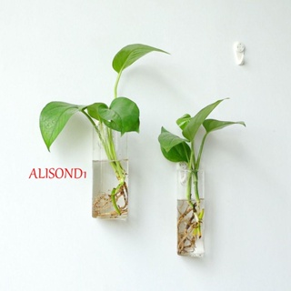 ALISOND1 แจกันแก้วไฮโดรโปนิก แบบสร้างสรรค์ สไตล์ยุโรป สําหรับตกแต่งบ้าน ตู้ปลา