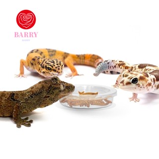 BARRY ชามพลาสติกใส ทรงกลม สําหรับใส่อาหารสัตว์เลื้อยคลาน มด 5 ชิ้น