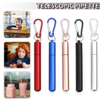 Reusable Telescopic Stainless Steel Metal Drinking Straw Foldable with Brush