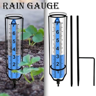 Glass Rain Gauge Outdoor Detachable Rain Gauge with Stake for Garden Lawn Yard