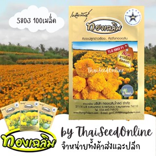 TC100S เมล็ดพันธุ์ ดาวเรืองตัดดอก ดาวเรืองทองเฉลิม 5803 100 เมล็ด Marigold Thongchalerm 5803 100Seeds