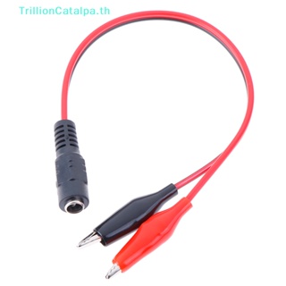 Trillioncatalpa คลิปปากจระเข้ เชื่อมต่อแรงดันไฟฟ้า DC เป็นตัวเมีย 12V 1 ชิ้น