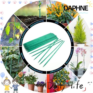 Daphne 10/30 ชิ้น แท่งไม้เท้า ตกแต่งบ้าน สวน โครงไม้เลื้อย ดอกไม้ ปีนเขา ยึดคงที่ รองรับพืชสีเขียว