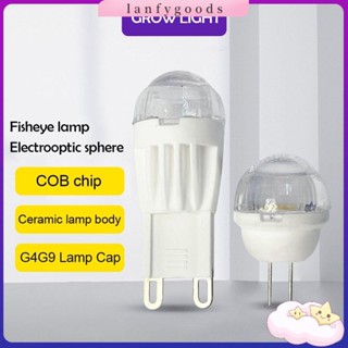 Lanfy ใหม่ หลอดไฟฮาโลเจน 220V หรี่แสงได้ สีขาว อบอุ่น แบบเปลี่ยน สําหรับตกแต่งบ้าน