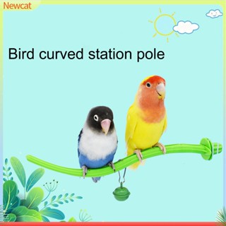 {Newcat} ขาตั้งนกแก้ว ขนาดเล็ก อุปกรณ์เสริม สําหรับนกแก้ว
