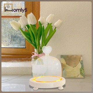 [Homyl5] ฝาครอบโหลแก้ว ทรงโดม สไตล์นอร์ดิก DIY