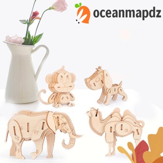 Oceanmapdz ชุดโมเดลโครงกระดูกสัตว์ กระต่าย 3D ของเล่นเสริมการเรียนรู้เด็ก