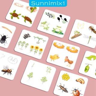 [Sunnimix1] ถาดวงจรชีวิต จิ๊กซอว์ปริศนา 3 ถึง 6 สําหรับเด็กวัยหัดเดิน ปาร์ตี้