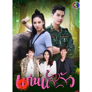 DVD แก่นแก้ว [ Ep.1-31End ] (เสียง ไทย) DVD